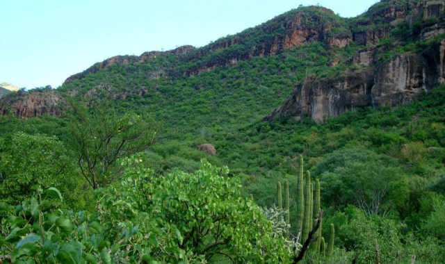 Paisaje de semi desierto
